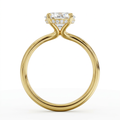Oval Hidden Halo Solitaire Engagement Ring